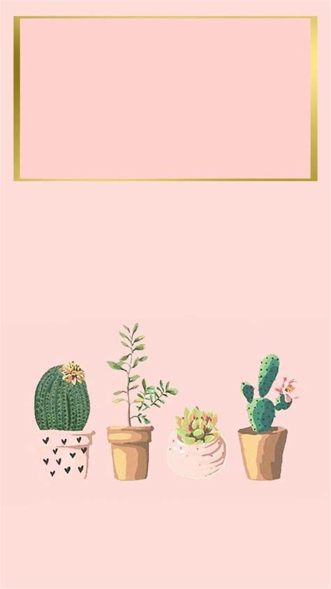 Aesthetic Cactus Profile Pic Wallpapers Wallpaper Cave