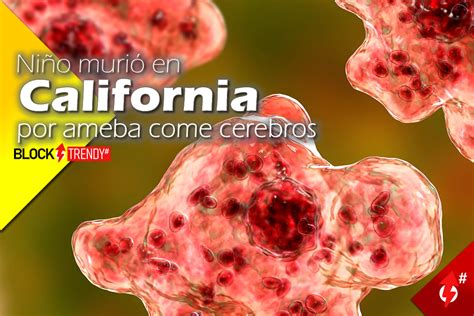 Ni O Muri En California Por Ameba Come Cerebros