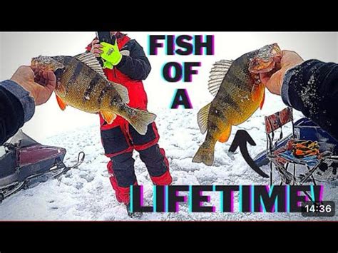 Ice Fishing Lake Cascade Idaho GIANT PERCH YouTube