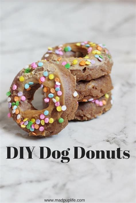 Diy Dog Donuts Easy Treat For Your Pups Healthy Dog Treats Homemade