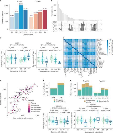 Eqtl Mapping In Resting And Activated Cd4⁺ T Cells A Number Of Download Scientific Diagram