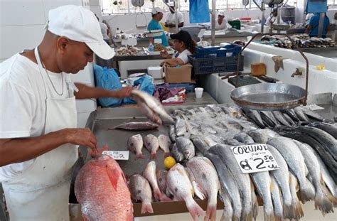 El Mercado de Mariscos cerrará sus puertas el 8 de julio Panamá América