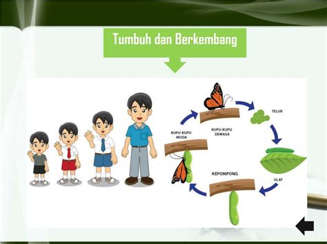 Ppt Pertumbuhan Dan Perkembangan Makhluk Hidup Kelas Iii Smt Riset