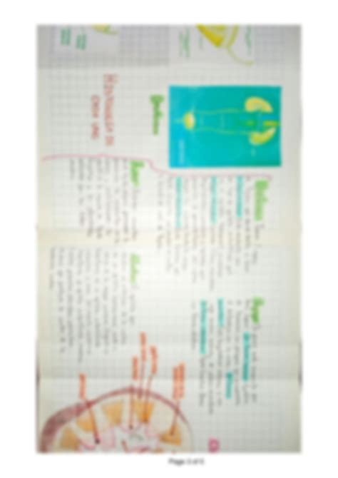 SOLUTION Previo 7 Sistema Renal Anatom A E Histolog A Humanas Studypool