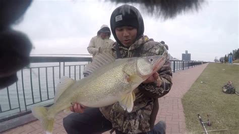 Giant Detroit River Shore Walleye The Canadian Zander Youtube