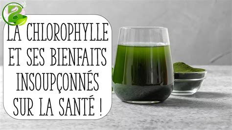 La Chlorophylle et ses bienfaits sur la santé YouTube