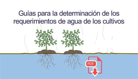 An Image Of Water And Trees With The Words Ques Para La Defamacion