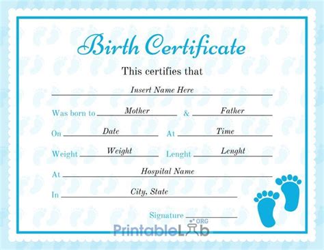 Child Birth Certificate Sample In Onahau, Malibu And Pacific throughout Fillable Birth ...