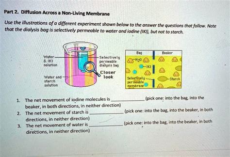 Solved Part Diffusion Across A Non Living Membrane Use The