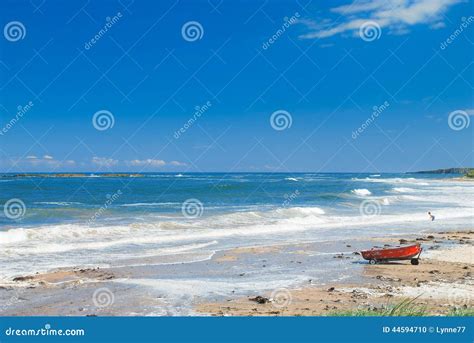 Newton by the Sea, Northumberland Stock Photo - Image of ocean, beautiful: 44594710