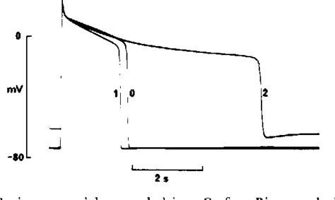 Figure 5 From On The Effects Of Divalent Cations Ethylene Glycol Bis