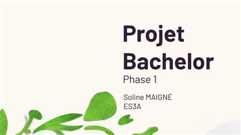 Phase 1 Projet Bachelor By Soline Maigne On Prezi