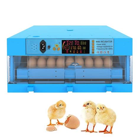 Buy Digital Egg Incubators Automatic Turning Chicken Duck Dove Quail