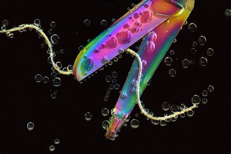 Free picture: rope, scissors, water, liquid, colorful, macro, colorful, underwater, decoration