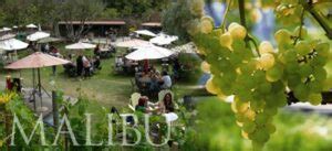 Malibu wine tours - American Luxury Limousine