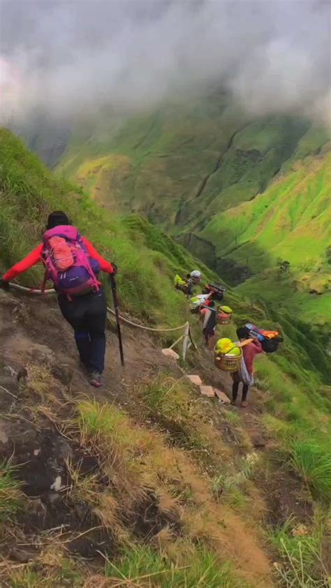 Whistling Wolf On Twitter Rt Pendakilawas Jadi Kapan Ke Rinjani