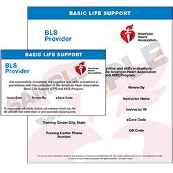 ACLS And BLS Certification American Heart Association