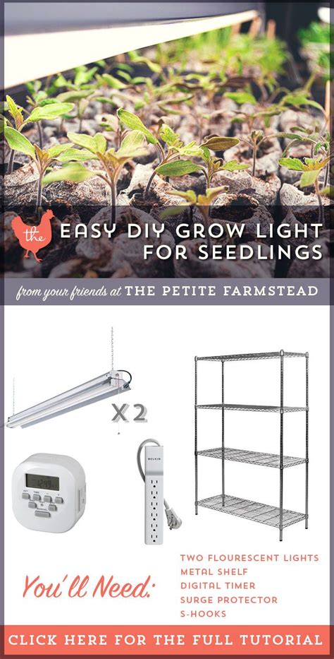 How To Build An Easy Diy Grow Light For Seedlings — Caboose Spice And Company® Grow Lights