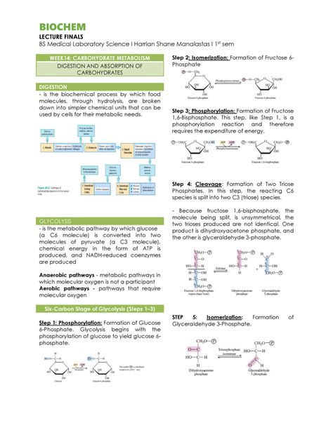 Week Carbohydrate Metabolismdocx Lecture Finals Bs Medical