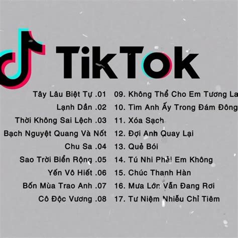 Nhạc Trung Quốc Remix Hay Nhất Hiện Nay - Lk Nhạc Tik Tok Trung Quốc ...