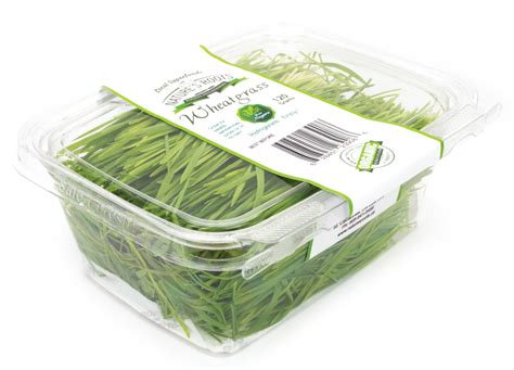 Nature S Roots Microgreens Sprouts Wheatgrass Wheatgrass