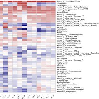 Heatmap Showing The Functional Categories KEGG Of Bacterial