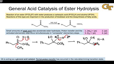 Organic Chemistry Catalysis