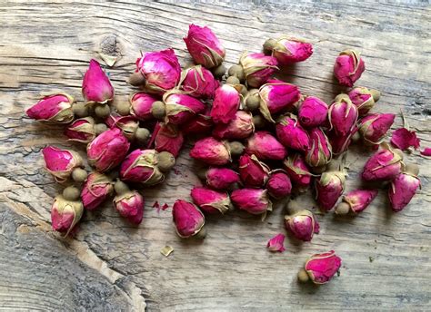 Dried Roses Drying Roses Plants Garden