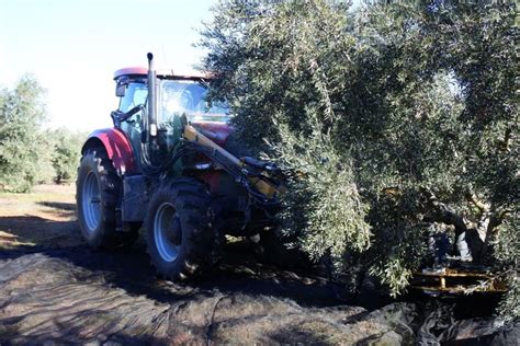 Millones De Euros De Ayudas De La Pac Abon Ya Clm A Agricultores Y