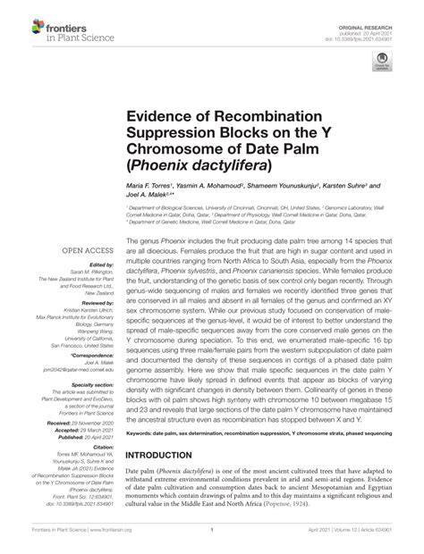 Pdf Evidence Of Recombination Suppression Blocks On The Y Chromosome