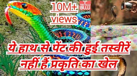 100 Most Poisoned Snakes 🐍🐍🐍 In The World Ll दुनिया में सबसे जहरीला