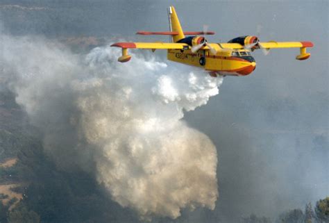 Incendi Boschivi Ecco Il Piano Triennale Regionale Napoli Village