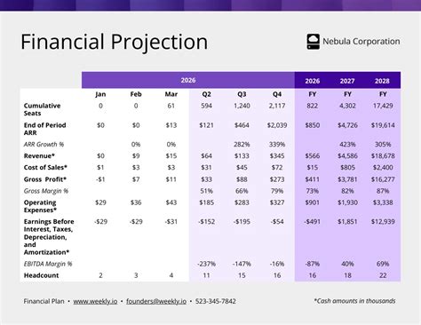 Financial Projection Table Chart Template - Venngage