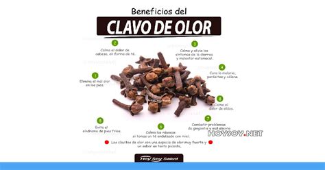 CLAVO De OLOR Beneficios Y Propiedades Saludable Revista Digital