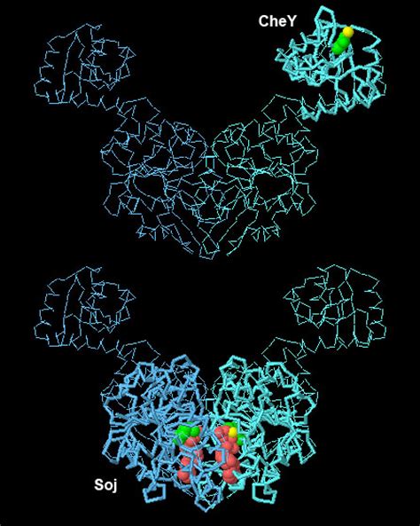 Pdb 101 Learn Structural Biology Highlights Pilus Assembly Protein Tadz