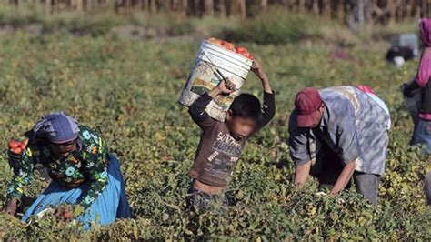 Cuál es la edad mínima para trabajar legalmente en México