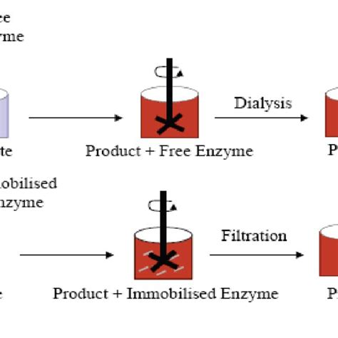 (PDF) Methods of Enzyme Immobilization