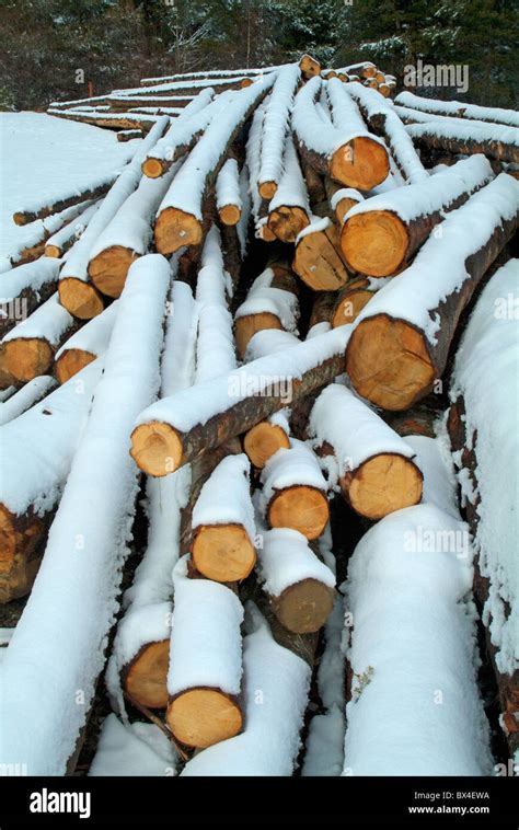 Concepts Deforestation Destruction Environment Hi Res Stock Photography