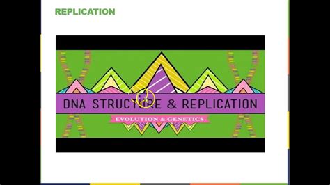 Replication And Protein Synthesis Youtube