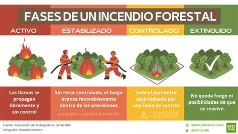 Incendios Forestales Causas Consecuencias Y Soluciones Porn Sex Picture