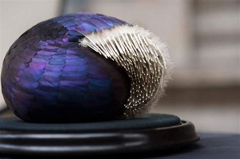 Otherworldly Bird Feather Sculptures By Kate Mccgwire