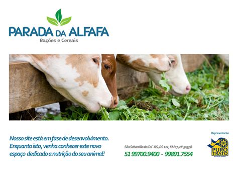 Parada Da Alfafa