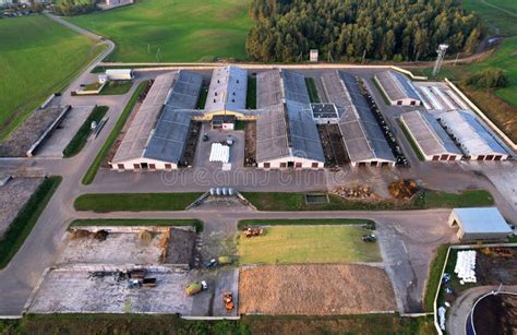 Construcci N Agr Cola Con Vacas Y Cerdos En La Vista A Rea Del Pueblo