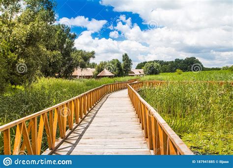 Nature Park Kopacki Rit Region Of Baranja Croatia Stock Image Image