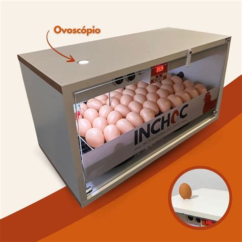 Melhores Chocadeiras De Ovos - Chocadeira de Ovos em Promoção na Shopee Brasil 2026