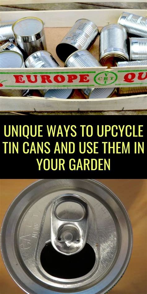 Don T Toss Your Old Tin Cans Expert Gardener Shares 10 Nifty Ways To