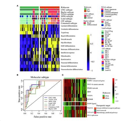 The TGF B Risk Score Predicted Molecular Subtypes And Treatments