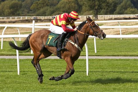 Horse Gallops Away Horse Racing Photos