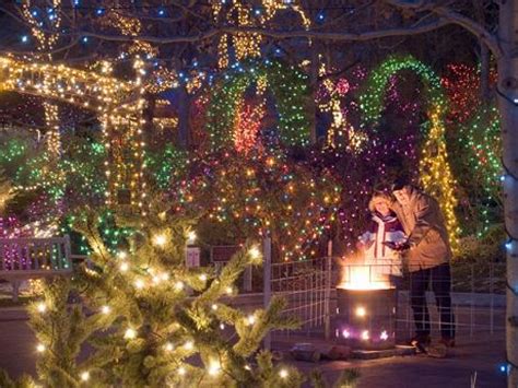 Winter Garden Aglow Tradition Draws Thousands To The Idaho Botanical