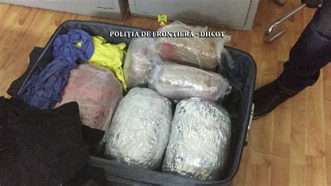 12 Kilograme De Canabis Descoperite De Politistii De Frontiera De La P